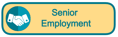senior employment